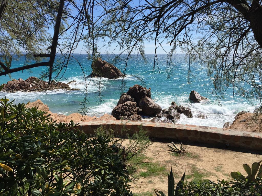 Dionysos Vue Mer Cannes Bilik gambar