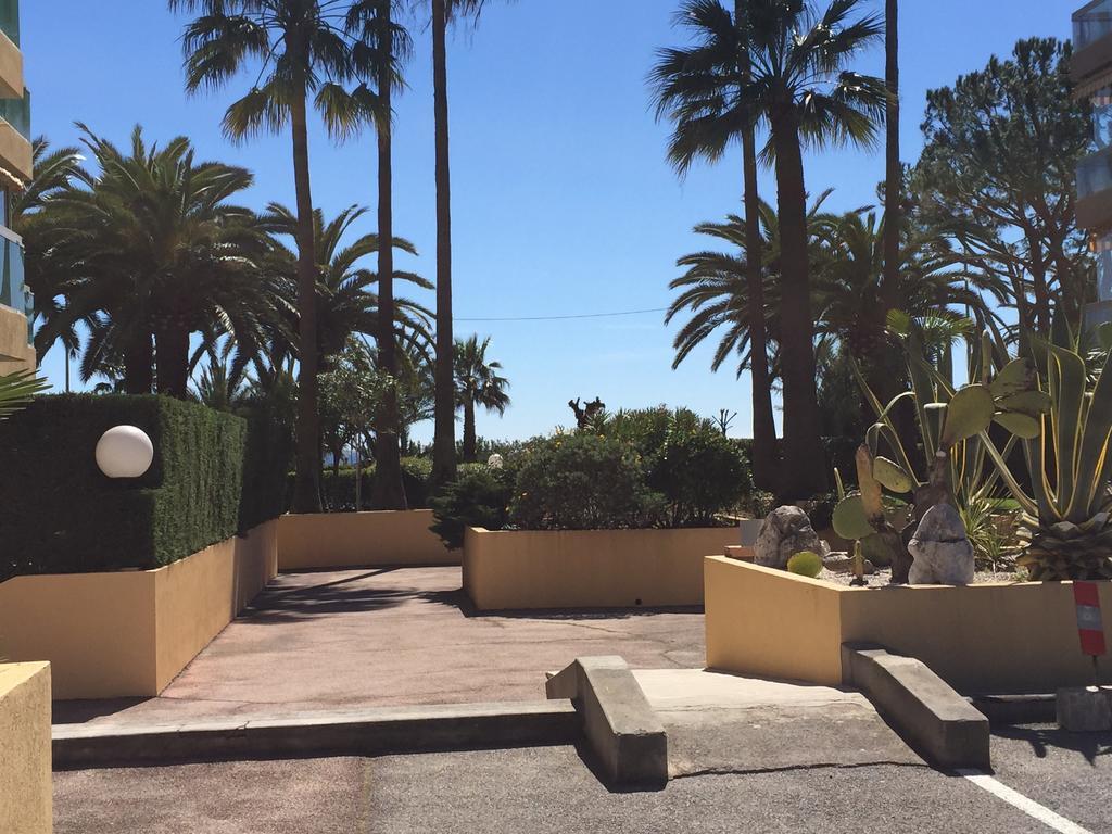 Dionysos Vue Mer Cannes Bilik gambar